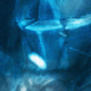 Door 23